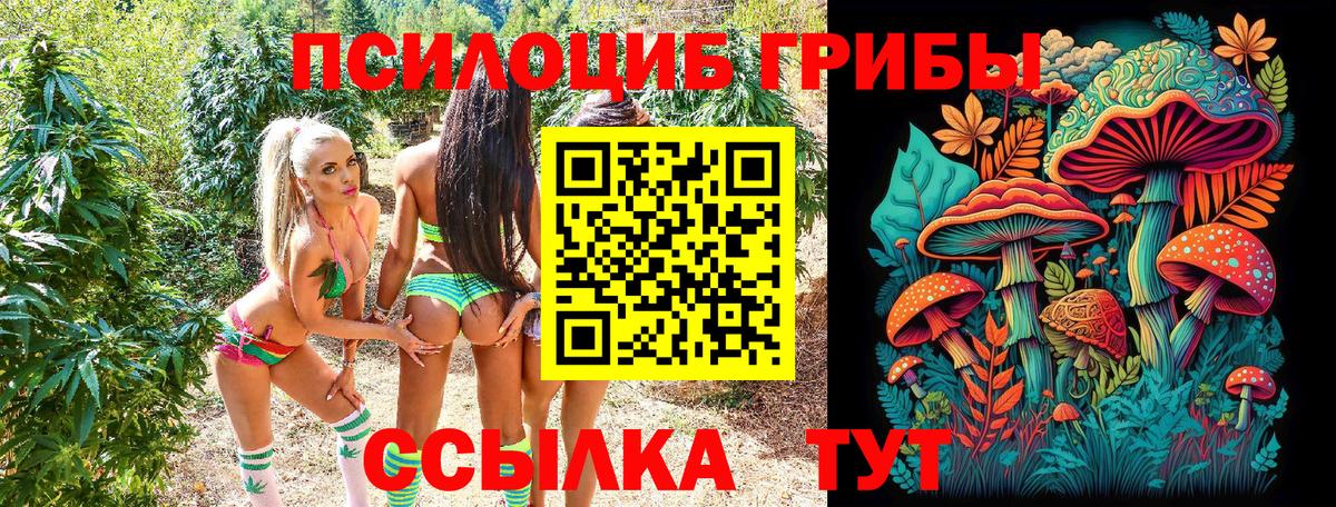 Псилоцибиновые грибы Magic Shrooms  Псилоцибиновые грибы MAGIC MUSHROOMS  Вход с VPN  Архангельск 