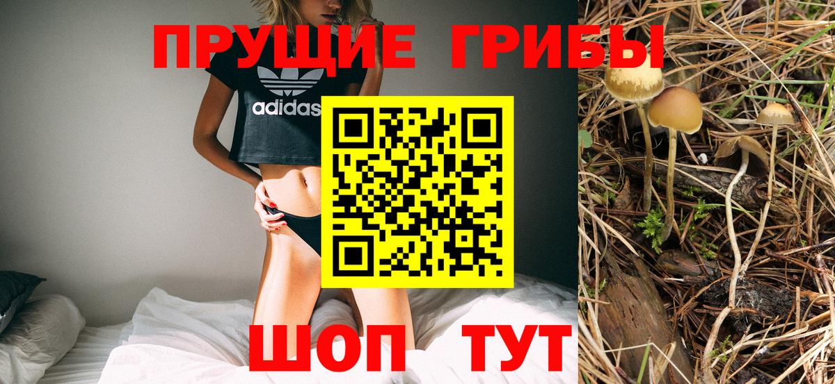 Псилоцибиновые грибы ЛСД Архангельск